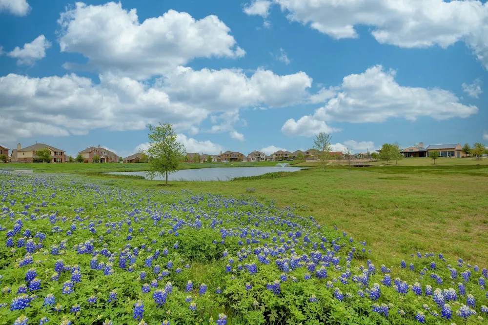 1103 Sunny Meadows Loop Georgetown, TX 78626
