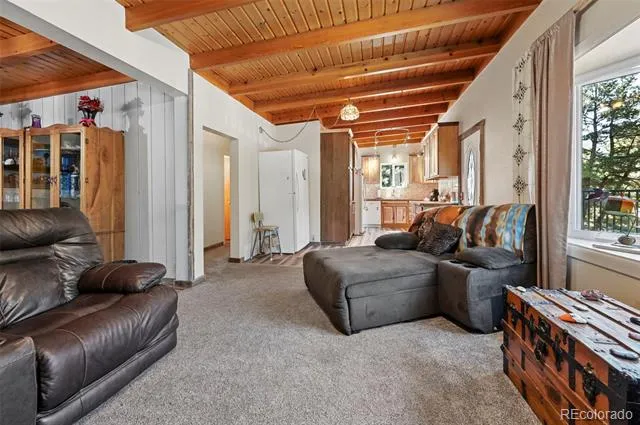 4455 Heizer Street #305 Cascade, CO 80809