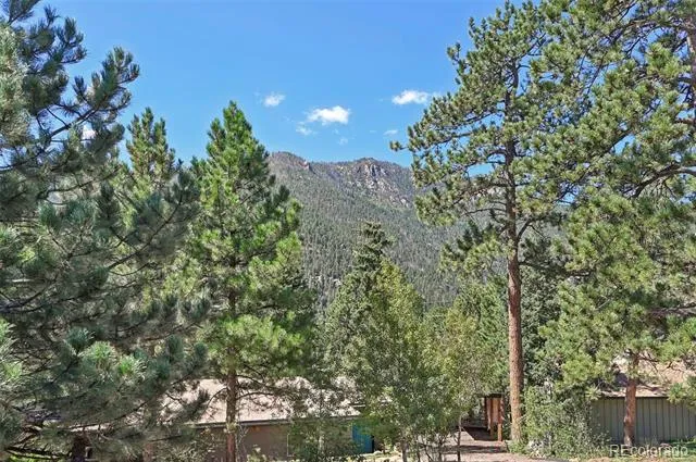 4455 Heizer Street #305 Cascade, CO 80809