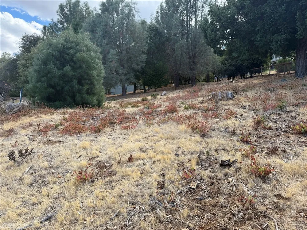 4515 Idlewood Kelseyville, CA 95451