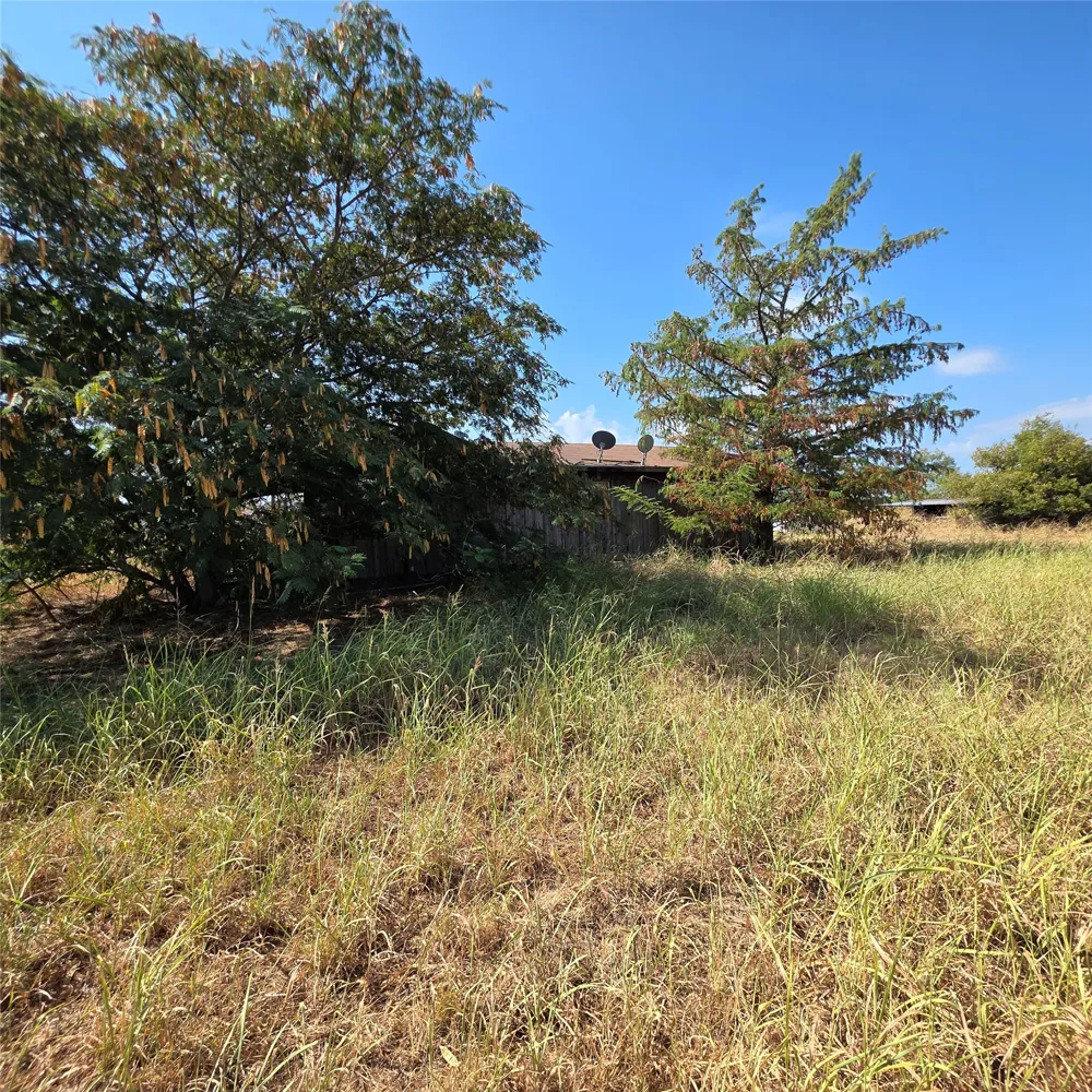 1946 Bosley Road Santo, TX 76472