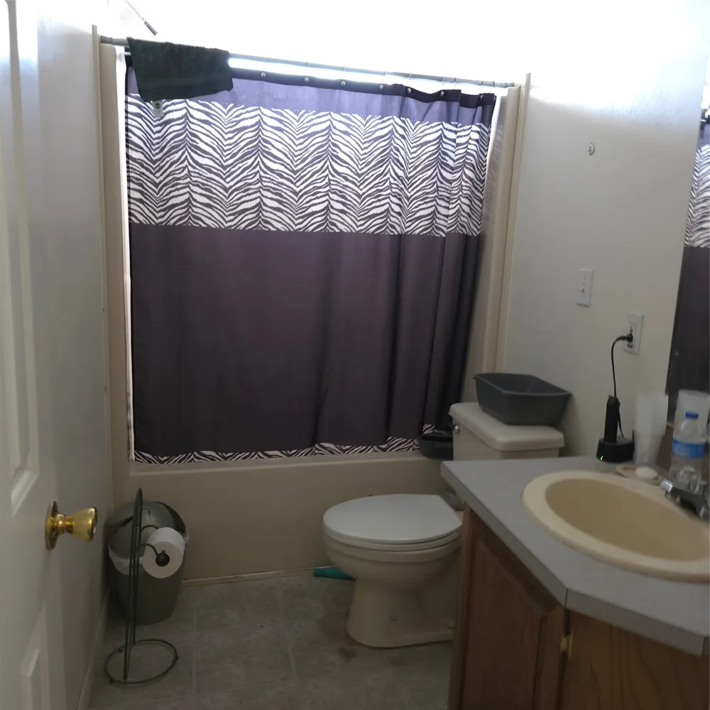 1946 Bosley Road Santo, TX 76472