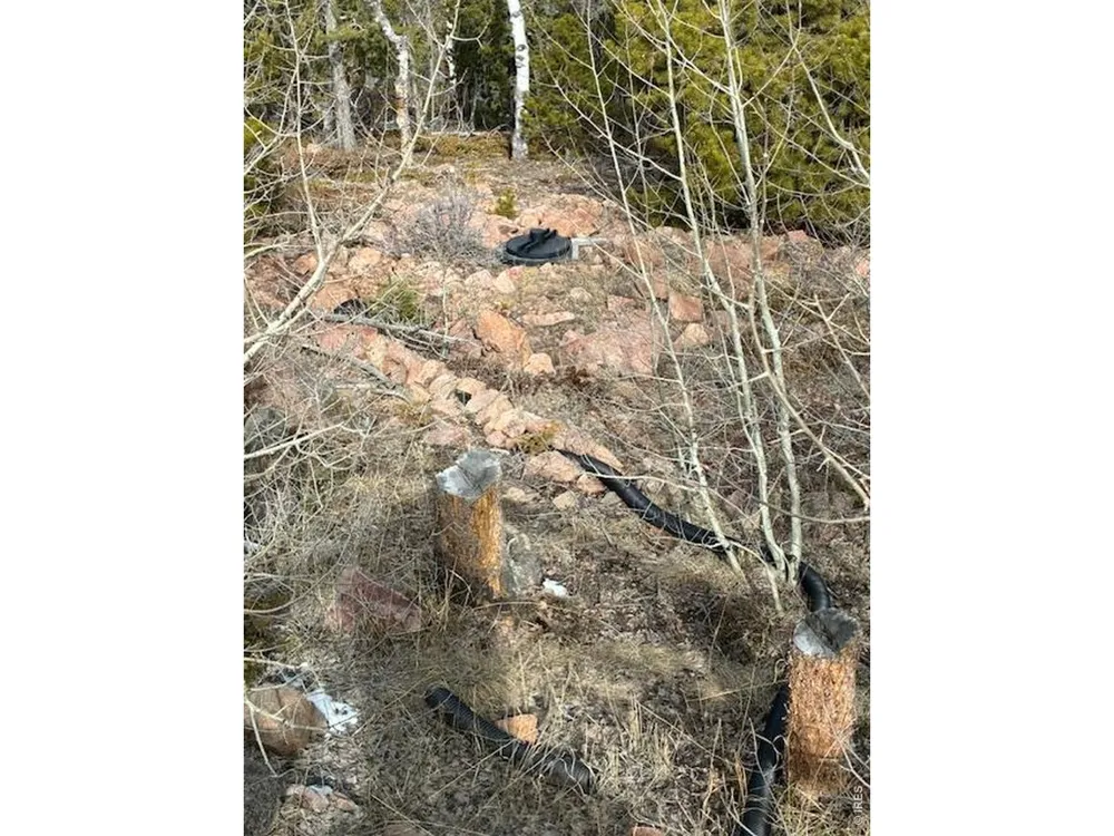 5747 County Road 73c Road Red Feather Lakes, CO 80545