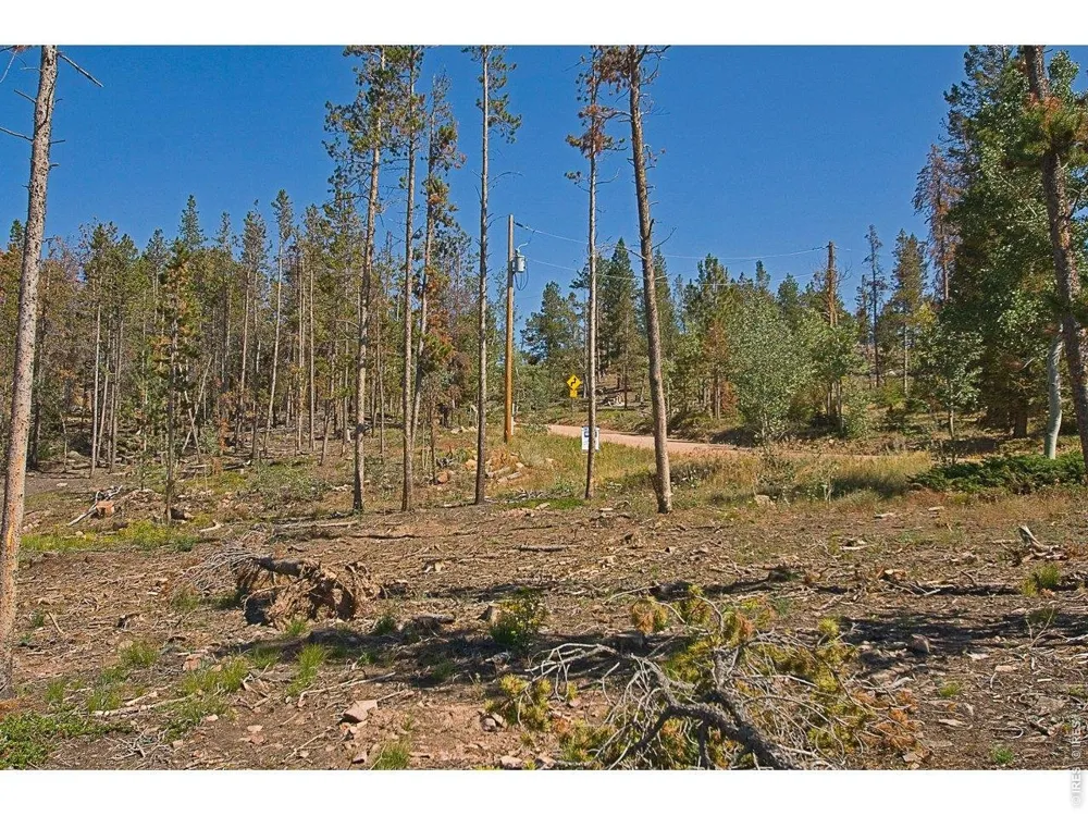 5747 County Road 73c Road Red Feather Lakes, CO 80545