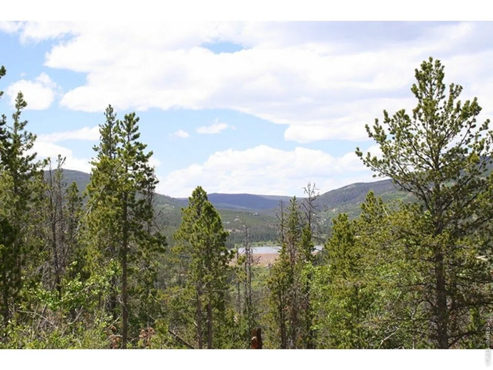 5747 County Road 73c Road Red Feather Lakes, CO 80545