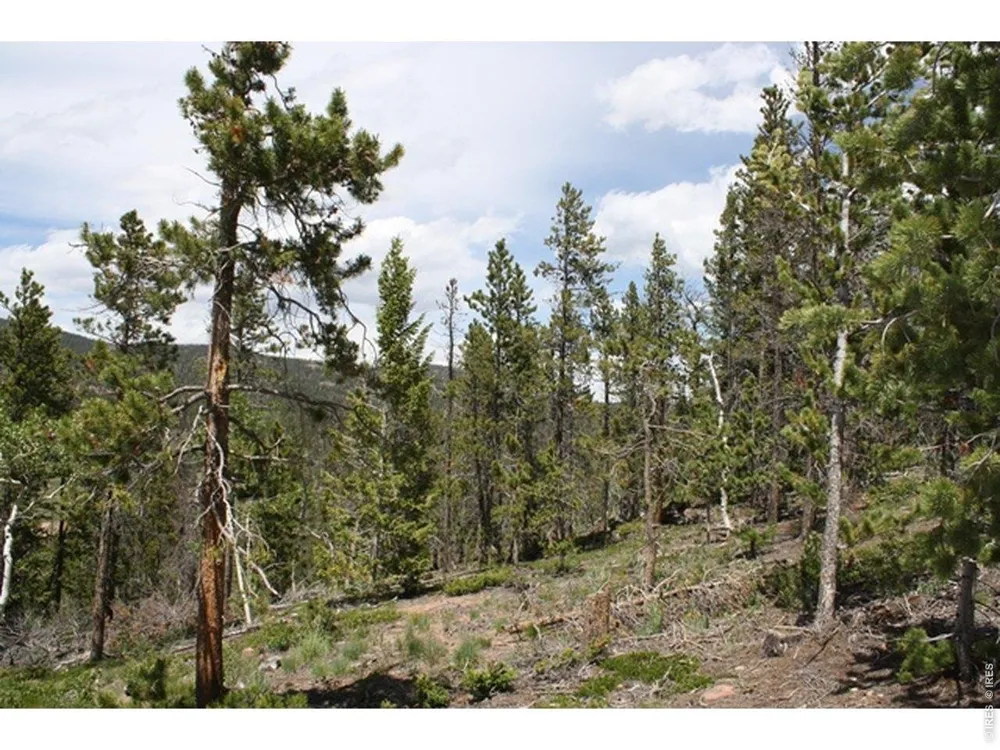 5747 County Road 73c Road Red Feather Lakes, CO 80545