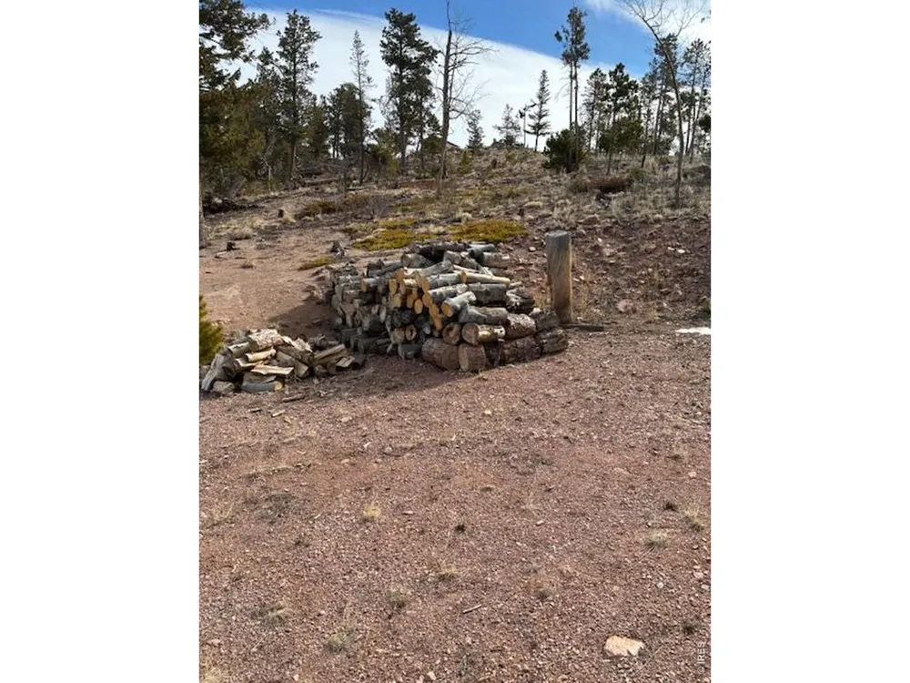 5747 County Road 73c Road Red Feather Lakes, CO 80545