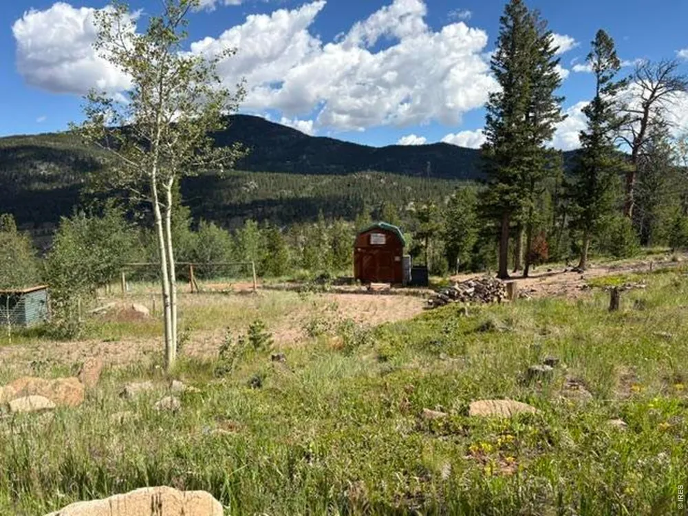 5747 County Road 73c Road Red Feather Lakes, CO 80545