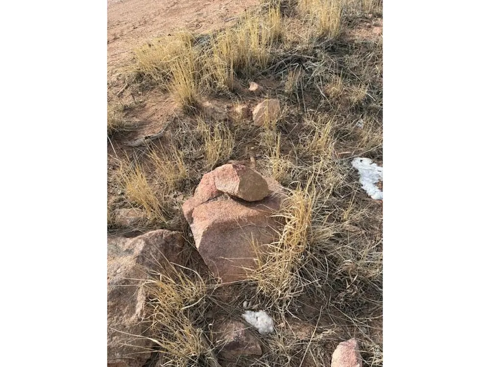 5747 County Road 73c Road Red Feather Lakes, CO 80545