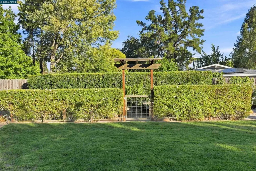 1422 Novato Ct Walnut Creek, CA 94597