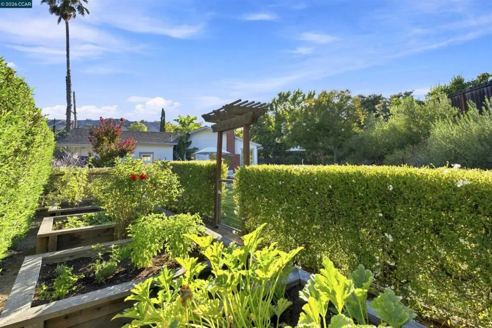 1422 Novato Ct Walnut Creek, CA 94597