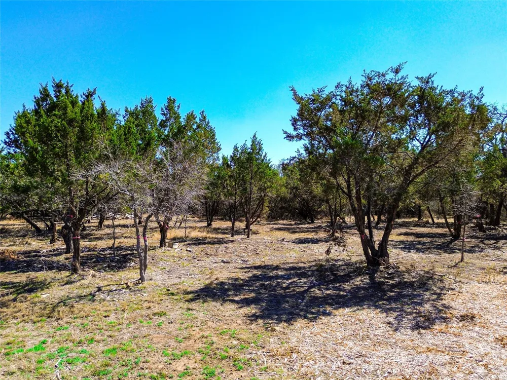 120 Blessing Ranch Road Liberty Hill, TX 78642