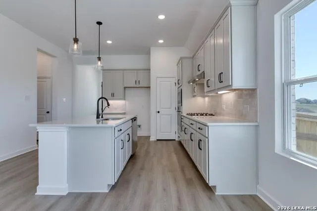 1243 Higgins Cove San Antonio, TX 78245
