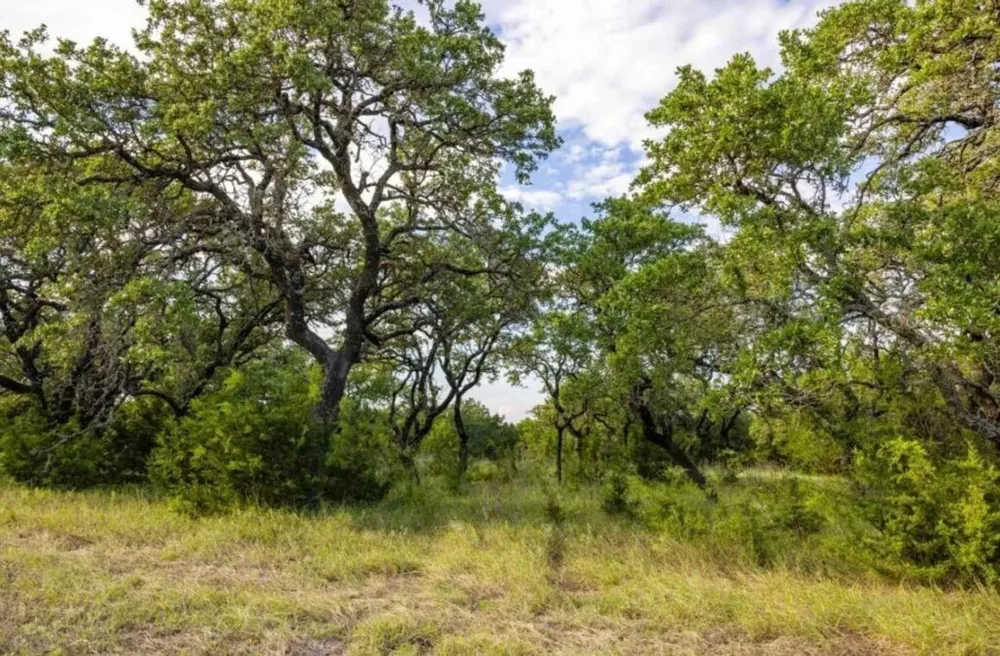 518 County Road 1403 Lometa, TX 76853