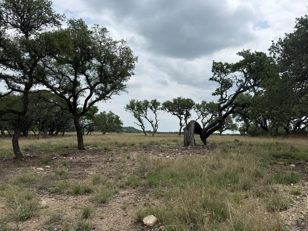 518 County Road 1403 Lometa, TX 76853