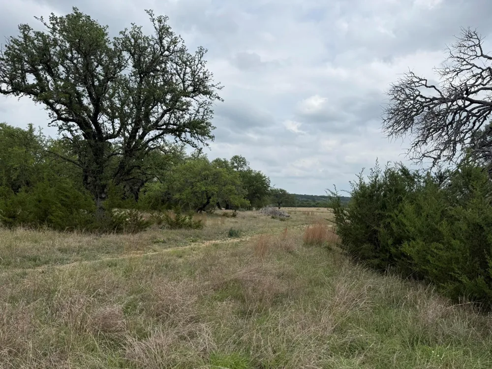 518 County Road 1403 Lometa, TX 76853