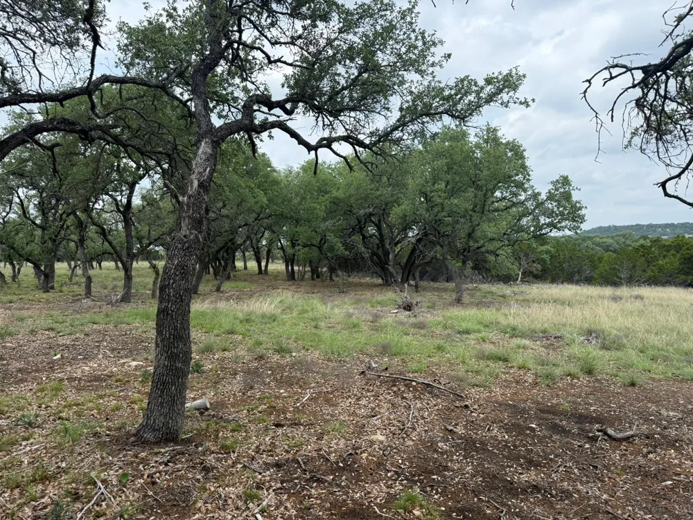 518 County Road 1403 Lometa, TX 76853