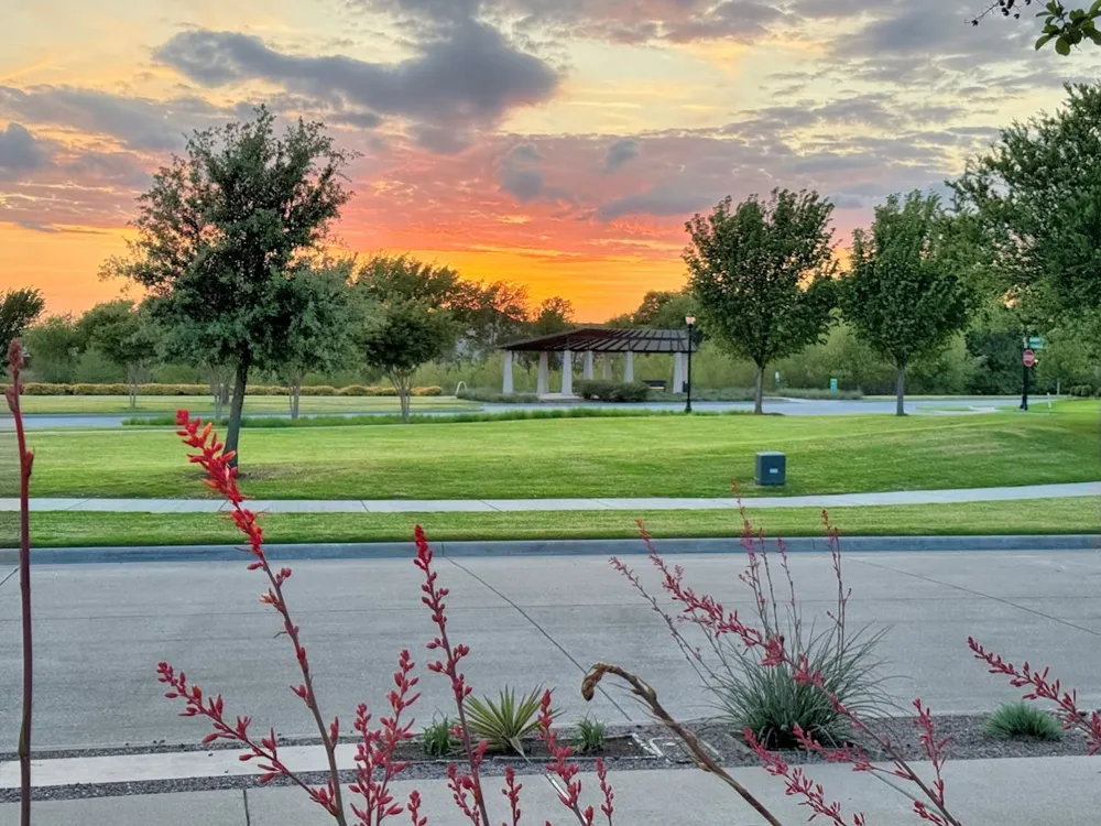 4428 Sunflower Lane Celina, TX 75078