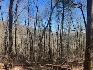 Lot 14 Butler Creek Road