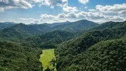 Walnut Cove Br Rd Robbinsville, NC 28771