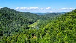 Walnut Cove Br Rd Robbinsville, NC 28771