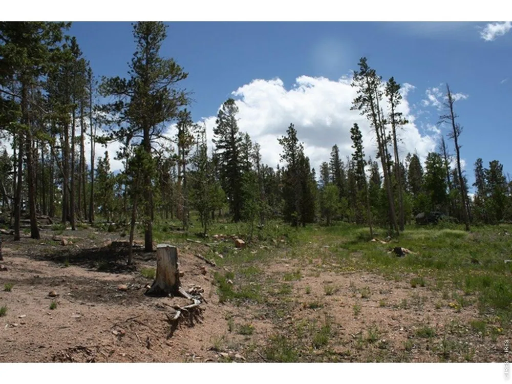 5713 County Road 73c Red Feather Lakes, CO 80545