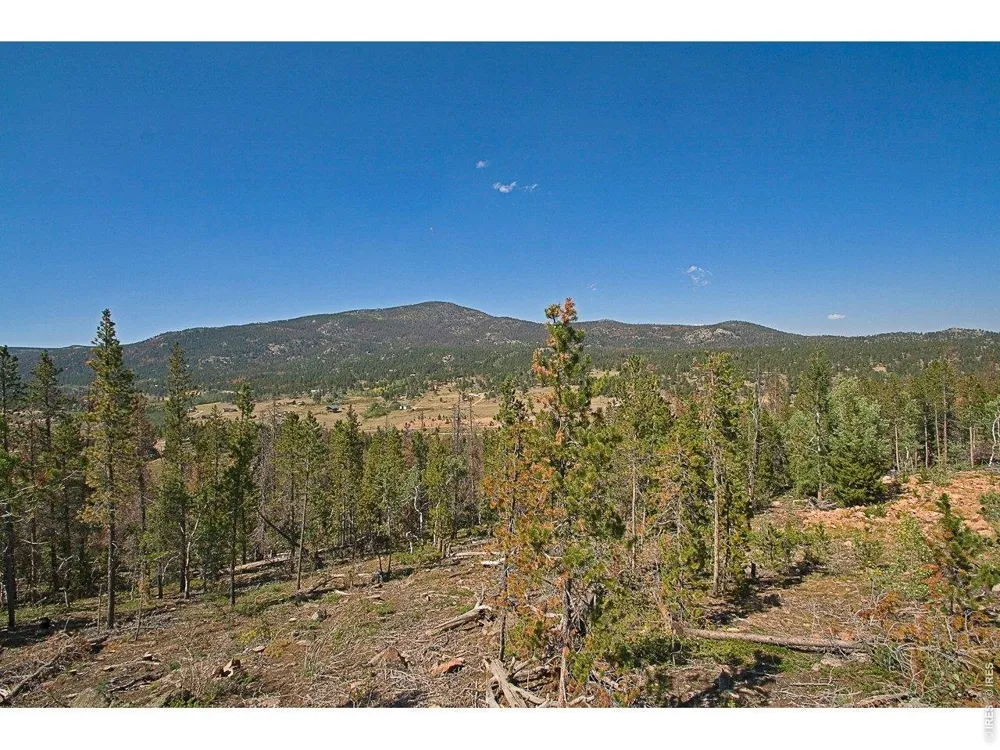 5713 County Road 73c Red Feather Lakes, CO 80545
