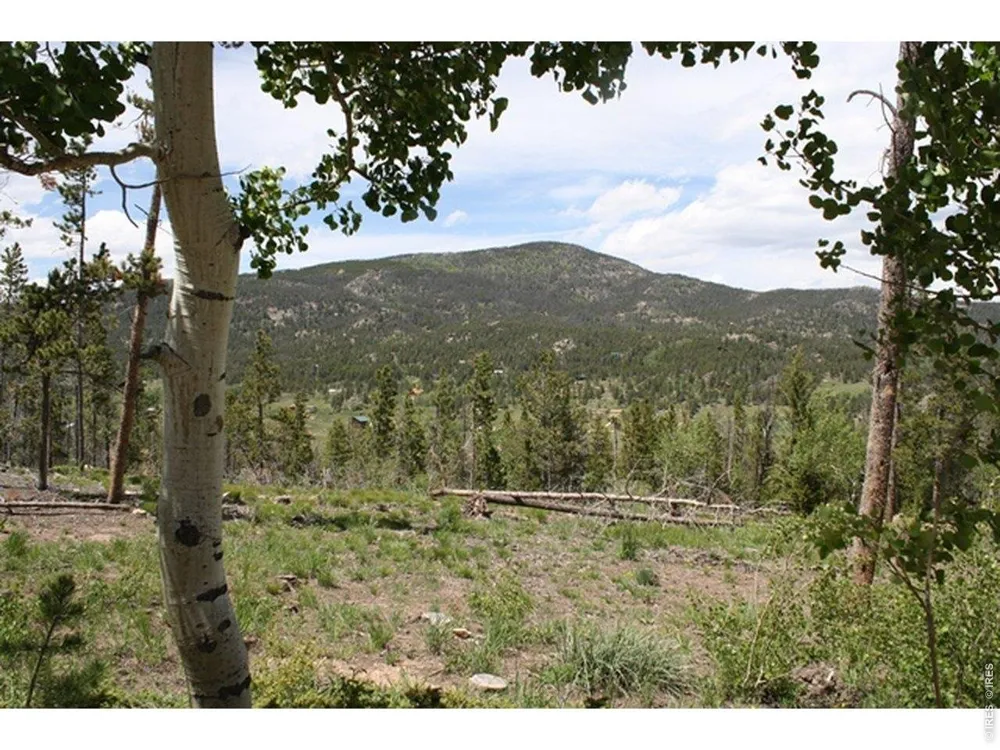 5713 County Road 73c Red Feather Lakes, CO 80545