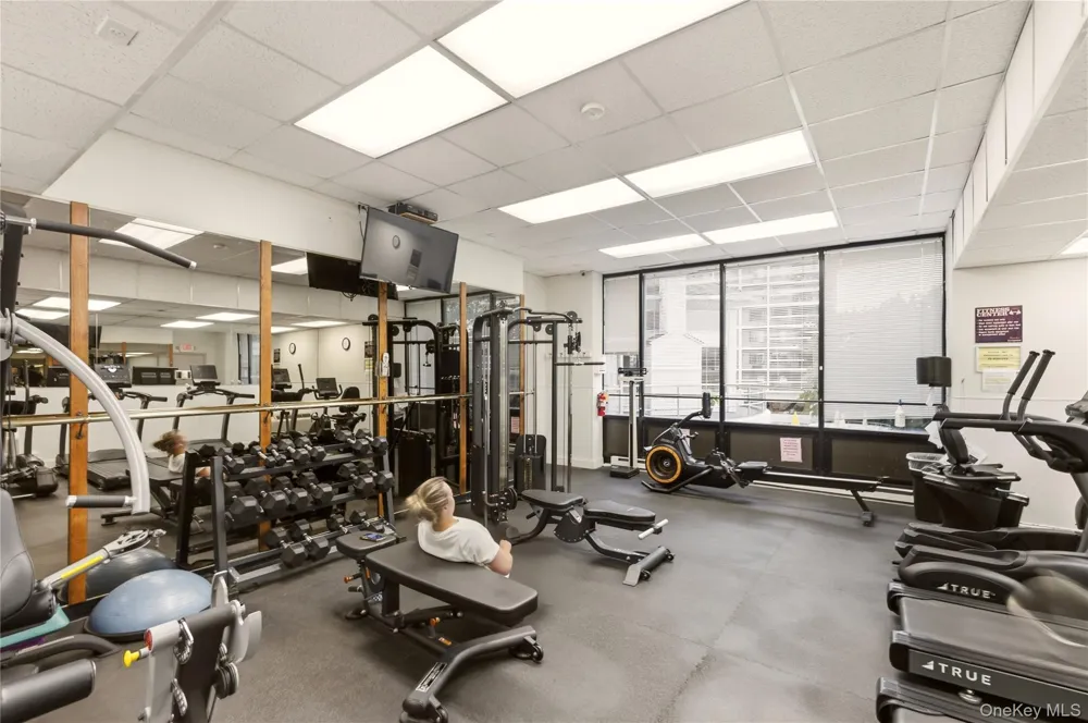 100 High Point Drive #710 Hartsdale, NY 10530