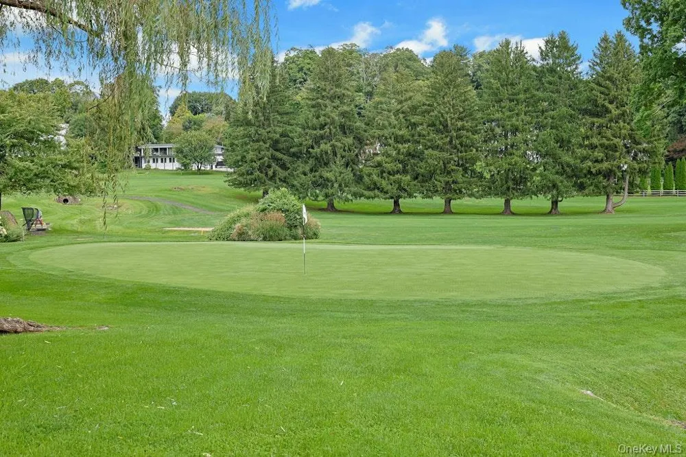 29 Country Club Lane Pleasantville, NY 10570