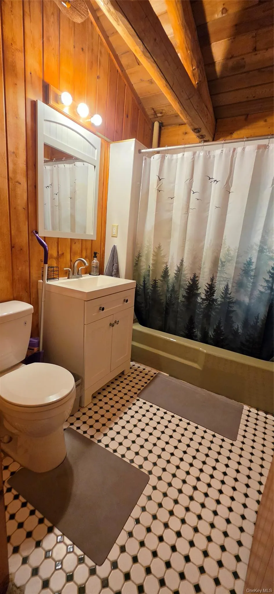 586 Lake Shore Lane Narrowsburg, NY 12764