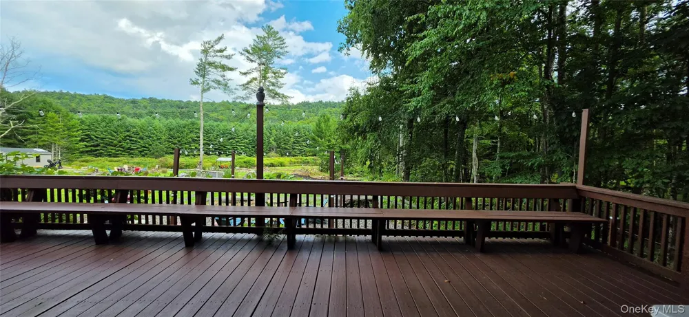 586 Lake Shore Lane Narrowsburg, NY 12764