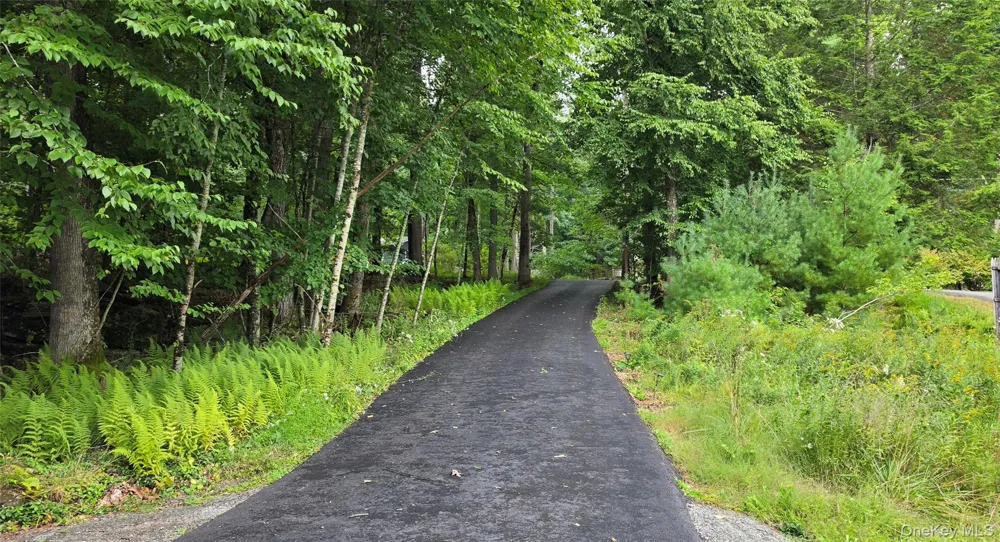 586 Lake Shore Lane Narrowsburg, NY 12764