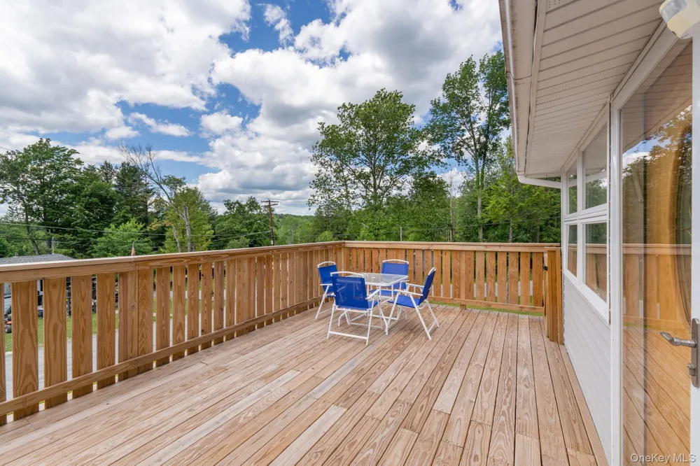 14 Cannon Boulevard Mountain Dale, NY 12763