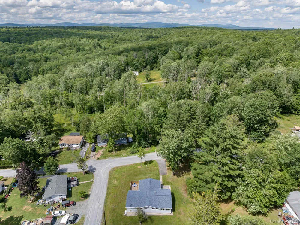 14 Cannon Boulevard Mountain Dale, NY 12763