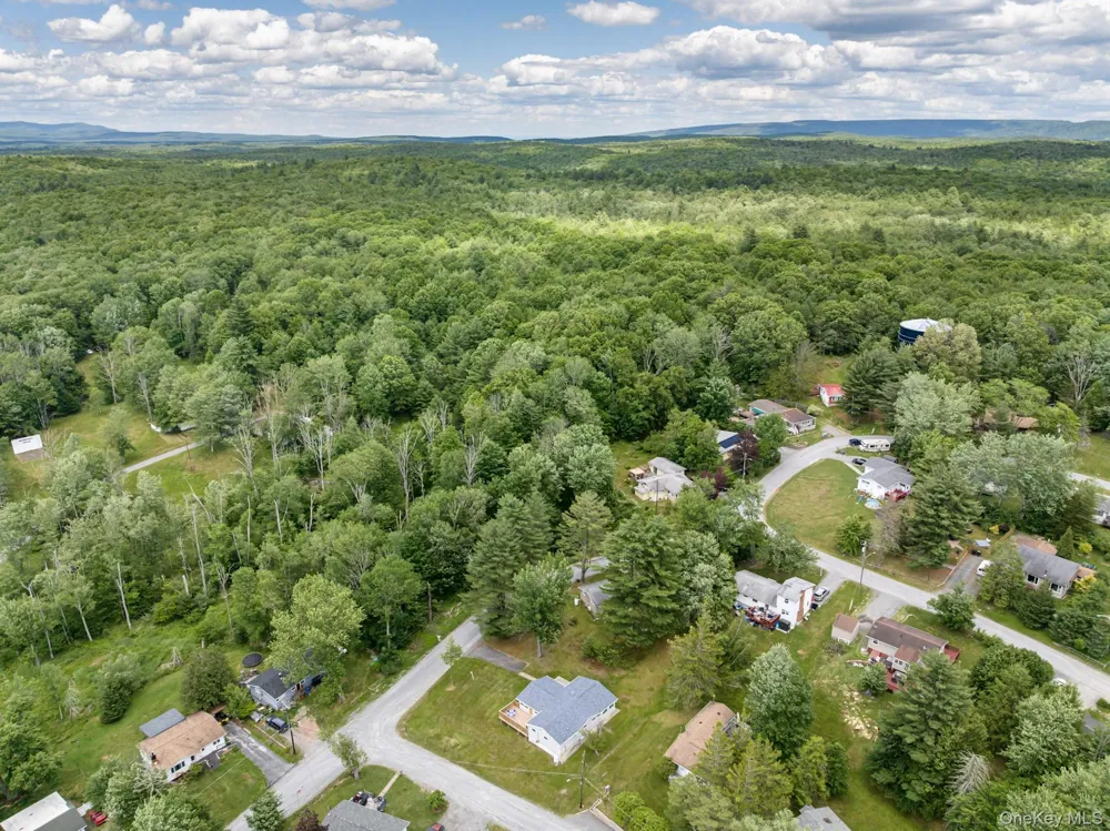 14 Cannon Boulevard Mountain Dale, NY 12763