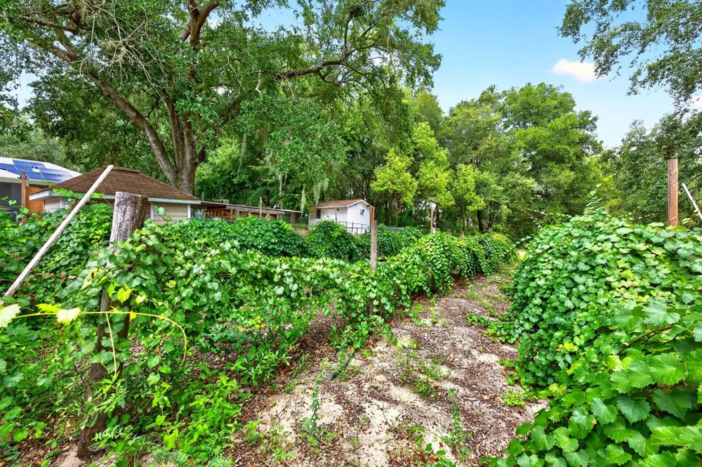 15771 SE 170TH AVENUE Weirsdale, FL 32195