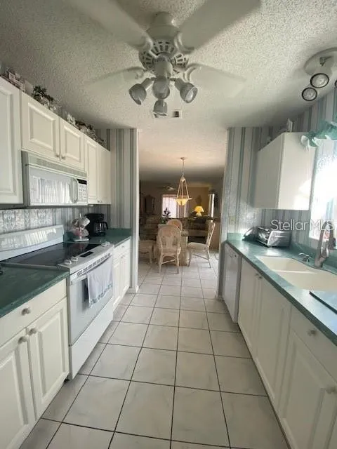 615 DELGADO AVENUE The Villages, FL 32159