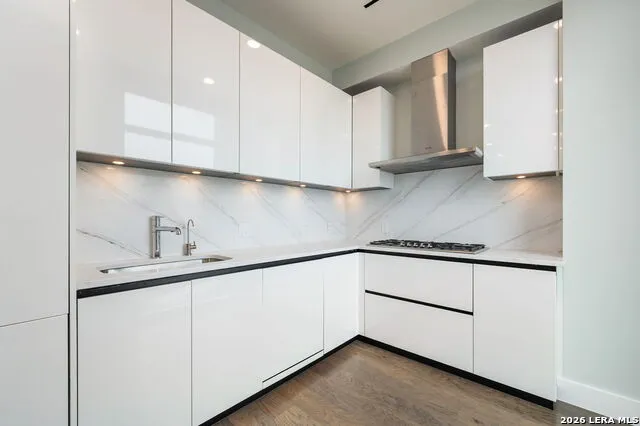 123 LEXINGTON AVE #APT 1508 San Antonio, TX 78205