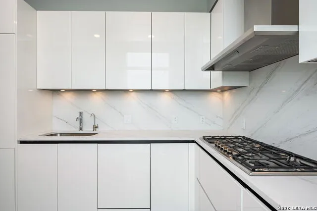 123 LEXINGTON AVE #APT 1508 San Antonio, TX 78205