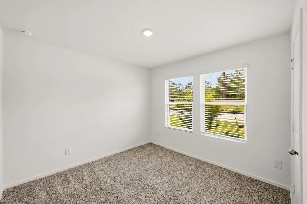320 Tall Birch Drive Hockley, TX 77447