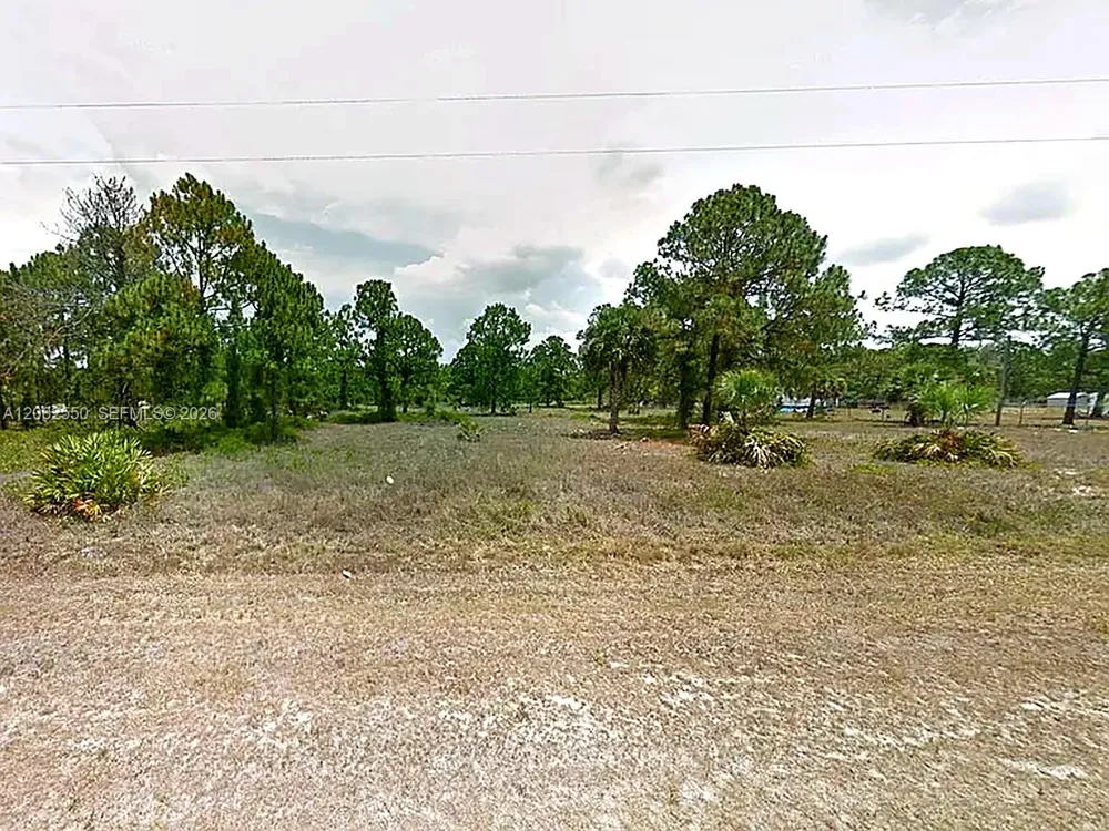 675 Appaloosa Av Clewiston, FL 33440