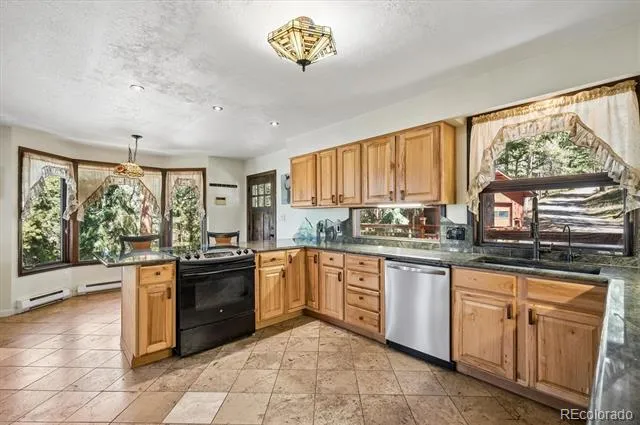 8281 Grizzly Way Evergreen, CO 80439