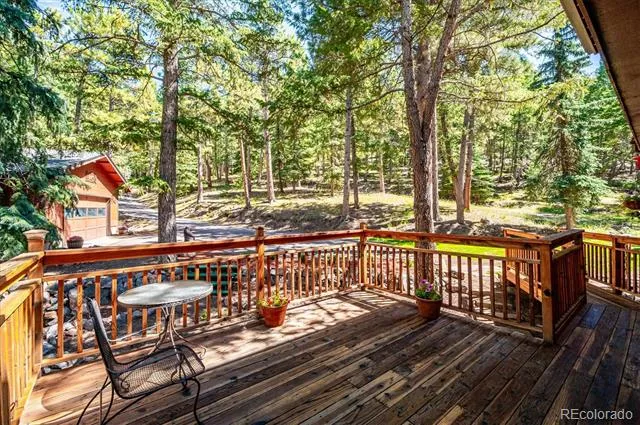 8281 Grizzly Way Evergreen, CO 80439