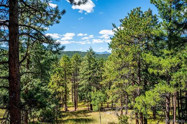 8281 Grizzly Way Evergreen, CO 80439