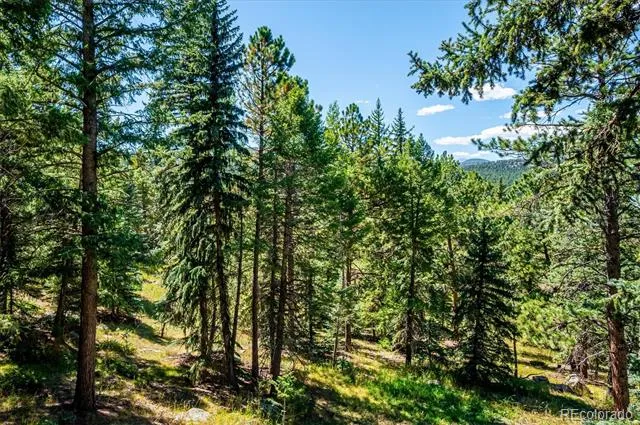 8281 Grizzly Way Evergreen, CO 80439