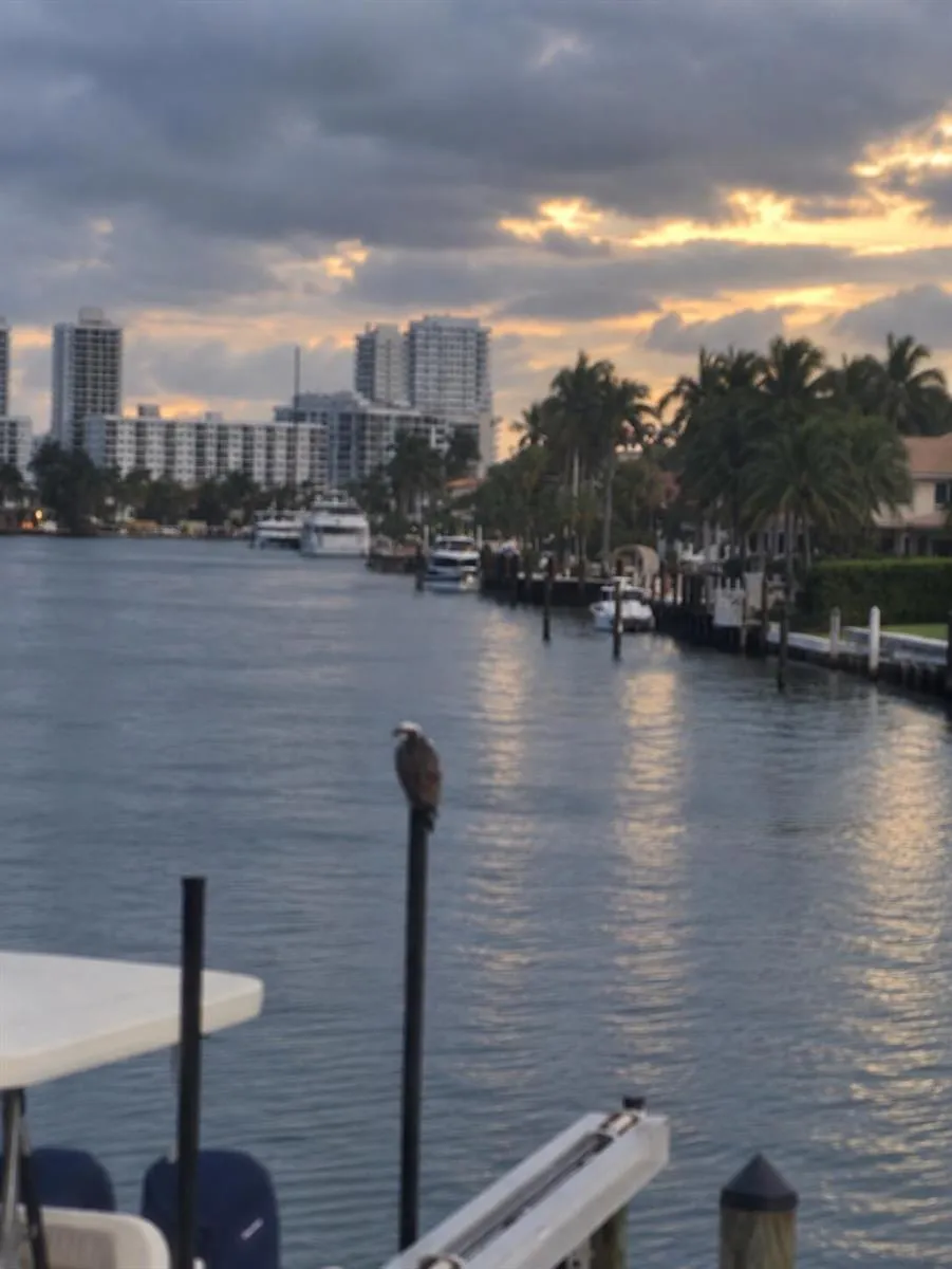 516 HENDRICKS Isle #2C Fort Lauderdale, FL 33301