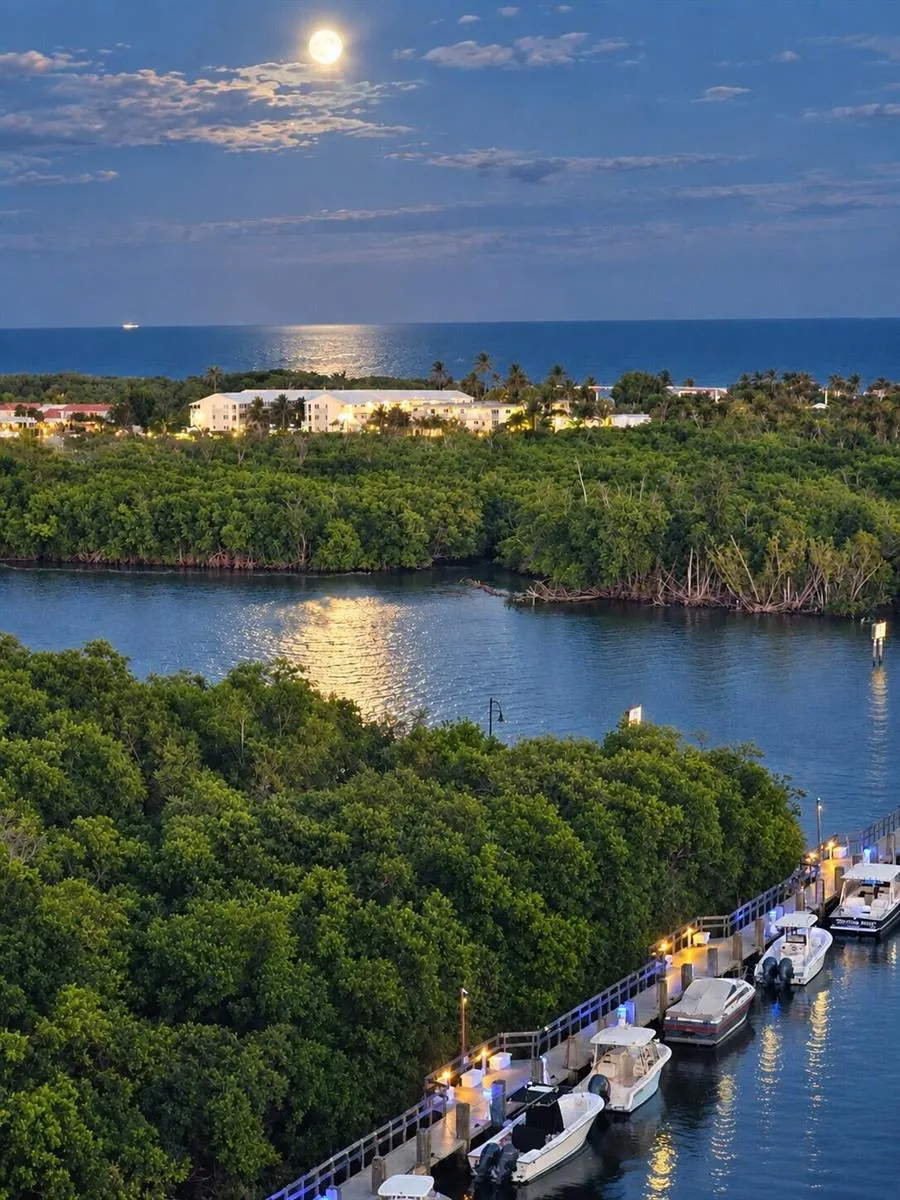 625 Casa Loma Boulevard #1003 Boynton Beach, FL 33435