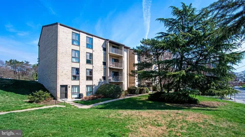 6141 EDSALL ROAD #B