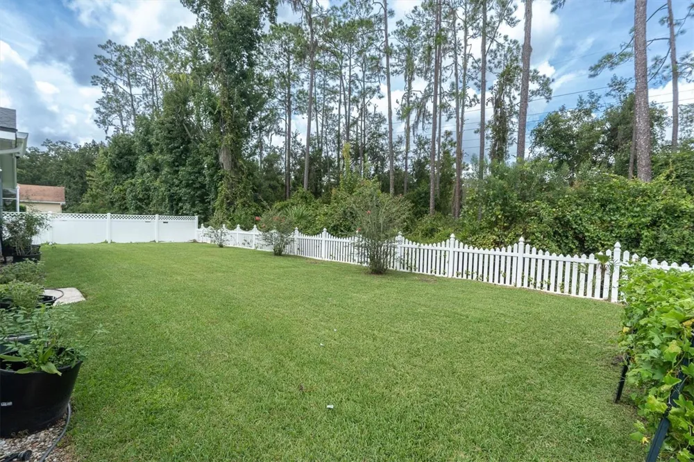 27027 BRUSH CREEK WAY Wesley Chapel, FL 33544